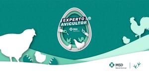 MSD Salud Animal – Experto Avicultor