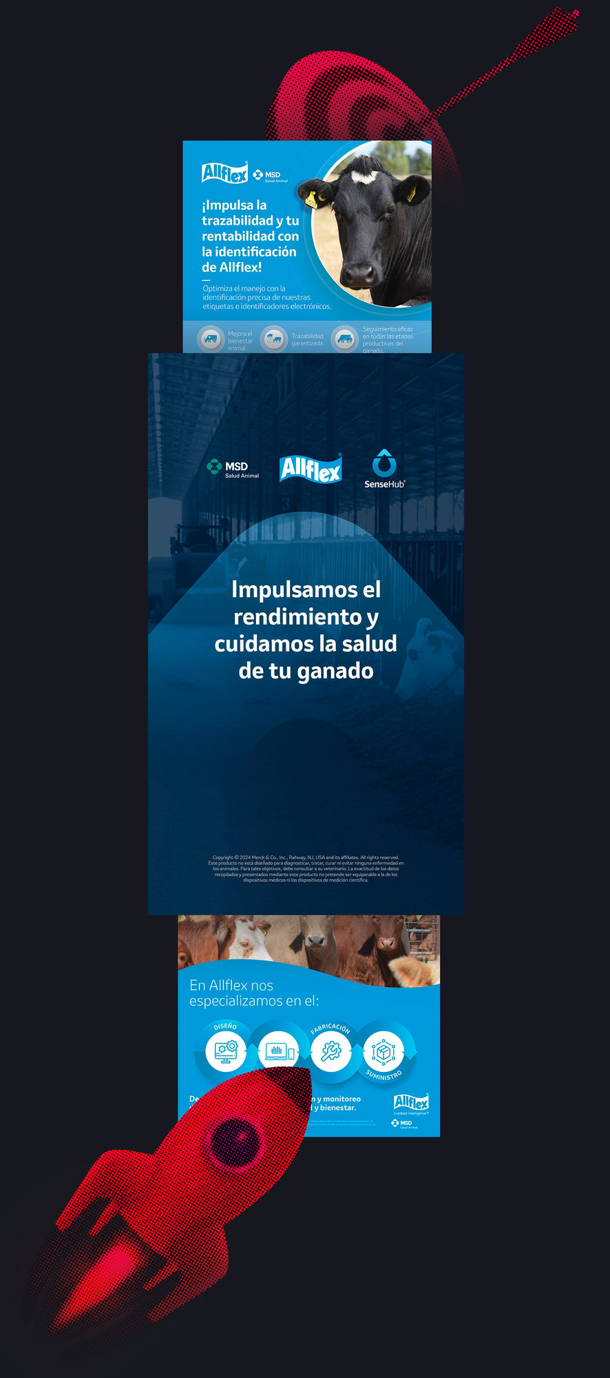 Impulsamos la trazabilidad y tu rentabilidad con la identificación de Allflex 