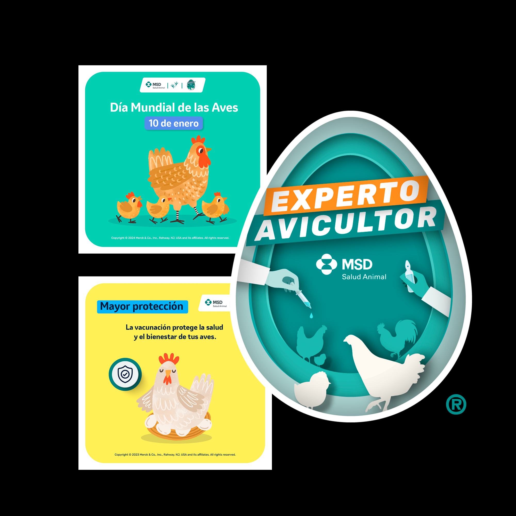 Experto avicultor Experto avicultor