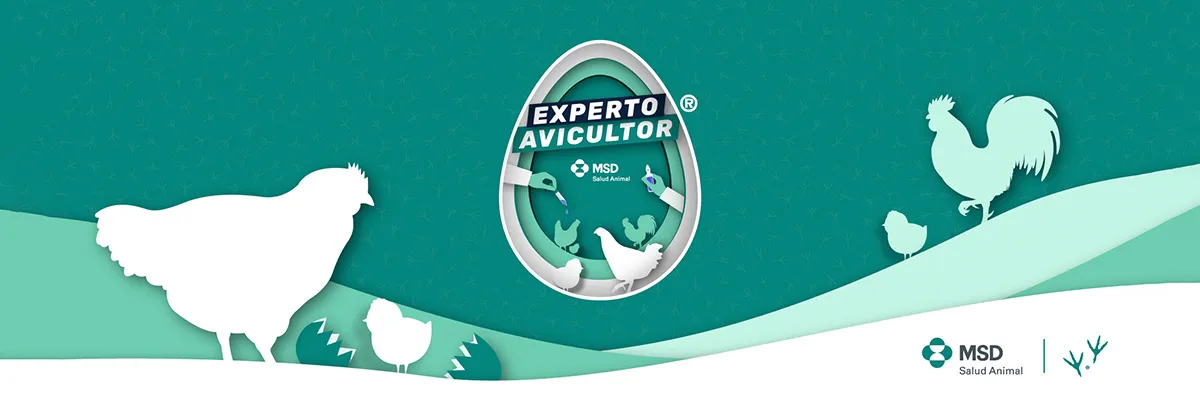 MSD_SALUD_ANIMAL_AVES_1200x400