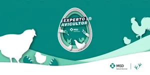 MSD Salud Animal – Experto Avicultor