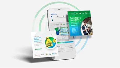 ALLFLEX_390x220_09