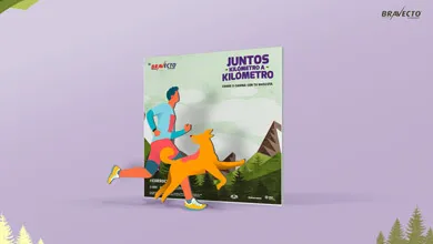 CarreraTerraMax_390x220_05
