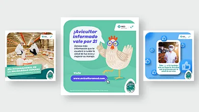 MSD_SALUD_ANIMAL_AVES_390x220_02