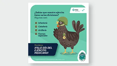 MSD_SALUD_ANIMAL_AVES_390x220_04