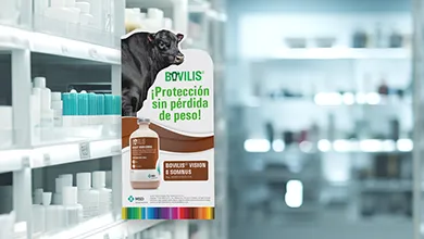 MSD_SALUD_ANIMAL_GANADERÍA_390x220_05