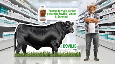 MSD_SALUD_ANIMAL_GANADERÍA_390x220_09